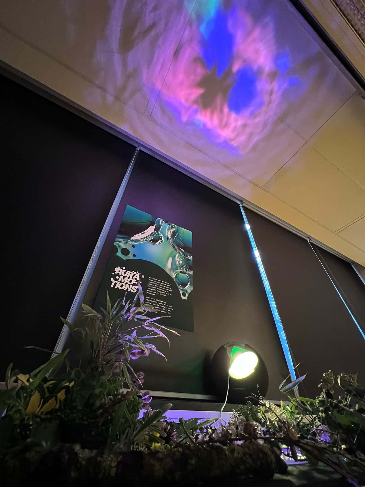 AuraMotions installation