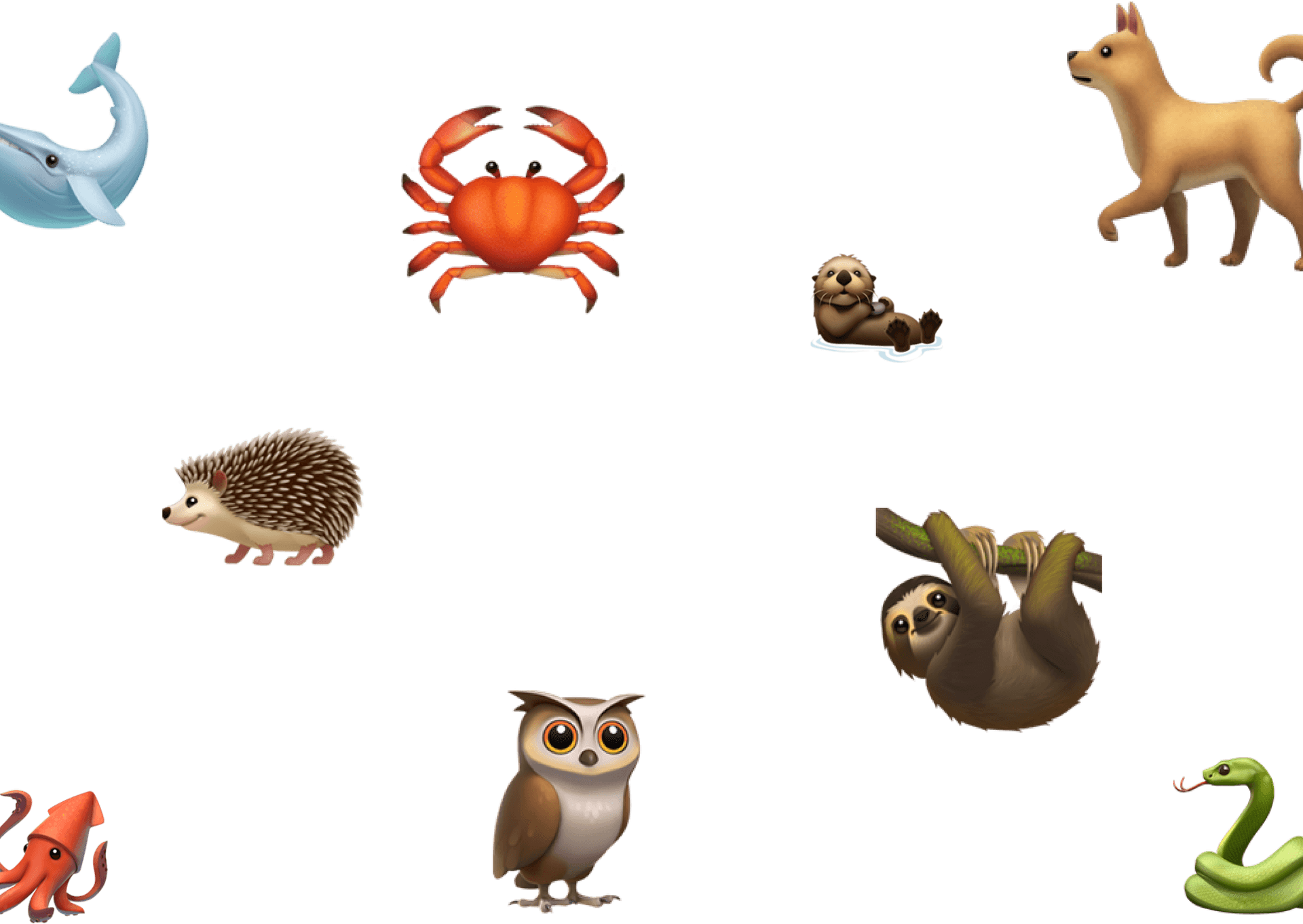A picture having several emojis which are used throughout the fissa application