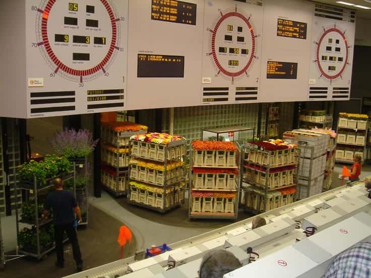 Flowers being physically moved underneath the clock on rail tracks build at the auction location