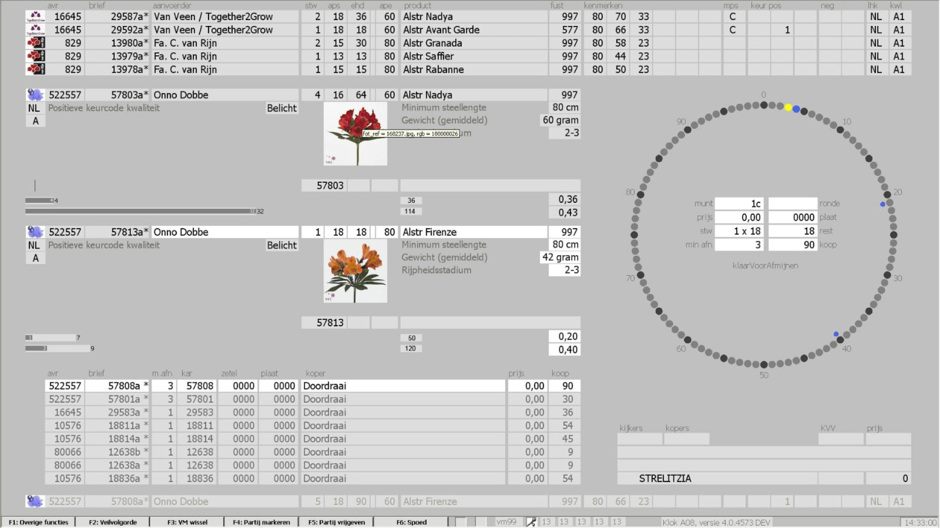 Status quo of the auctioneers interface